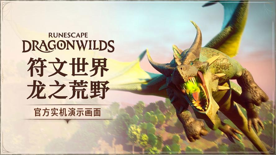 符文世界：龙之荒野