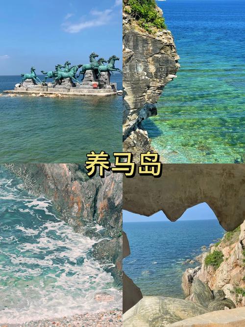 分享文件：蜜蜂岛