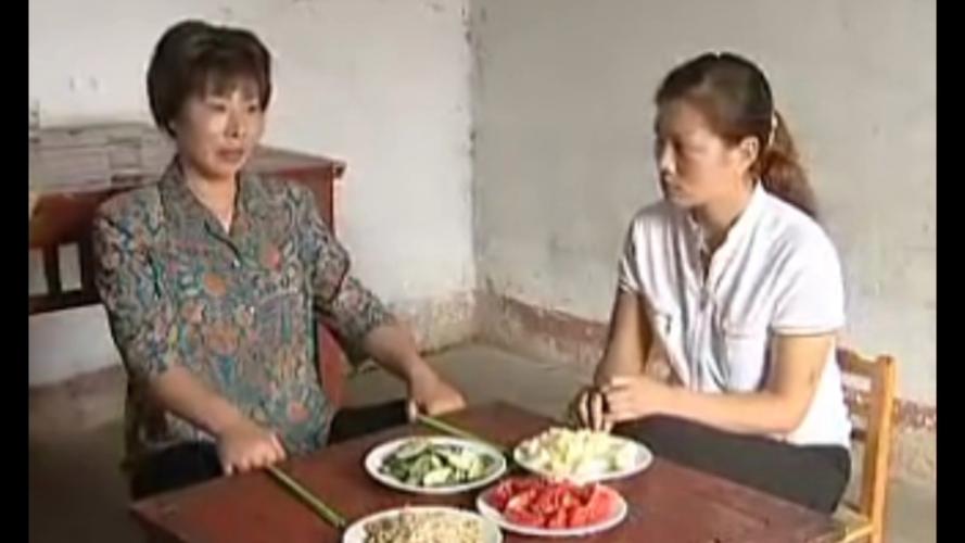 通过百度网盘分享的文件：85.南山姐妹，双姝巧手织出红火日子（34集）