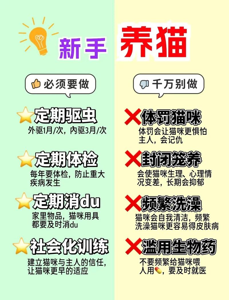 通过百度网盘分享的文件：91.养猫防老（55集）